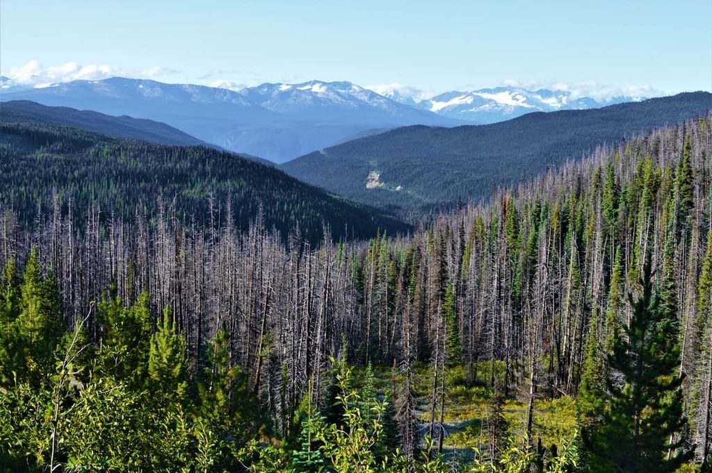 Tweedsmuir Provincial Park, Pacific Ranges, British Columbia