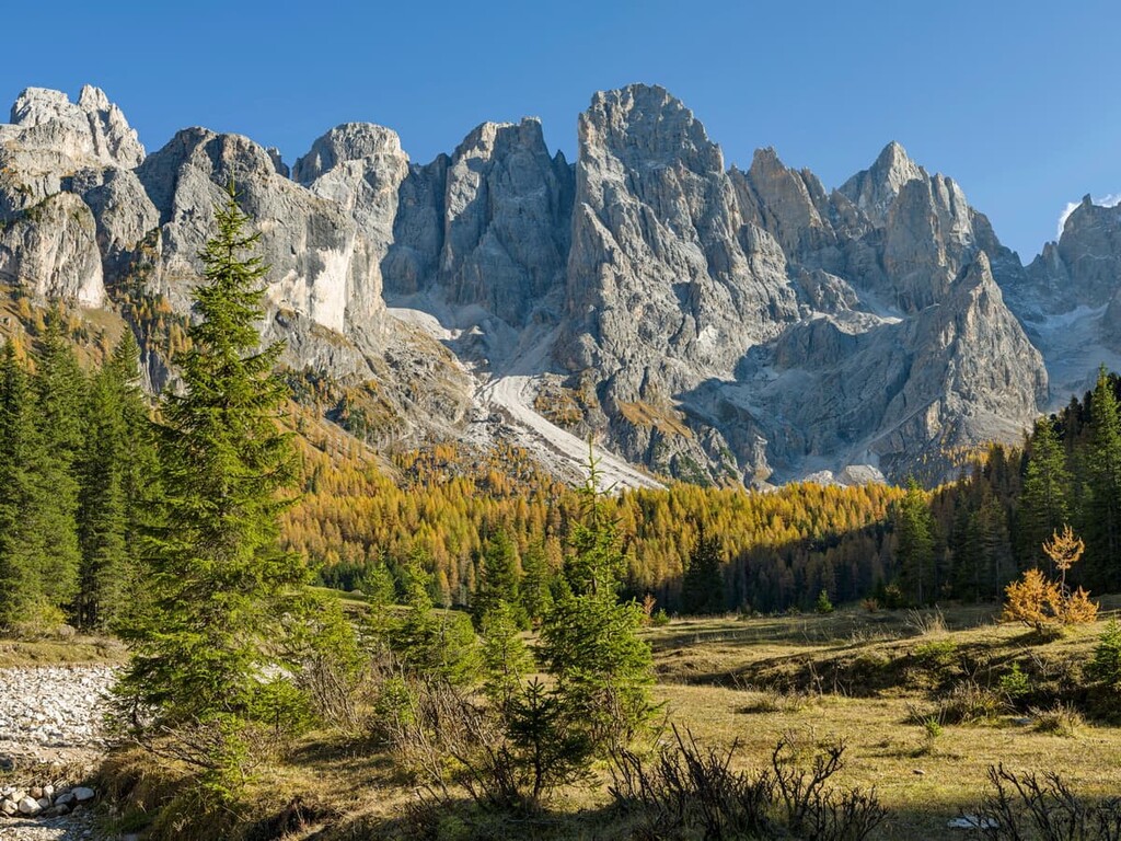 Cima dei Bureloni, Cima della Vezzana. Paneveggio — Pale di San Martino Nature Park, Italy
