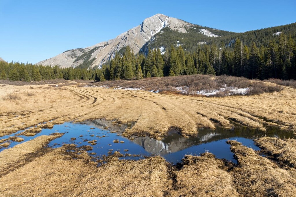 Ya Ha Tinda Ranch, Panther Corners Public Land Use Zone