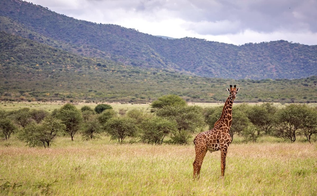 Pare Mountains, Tanzania