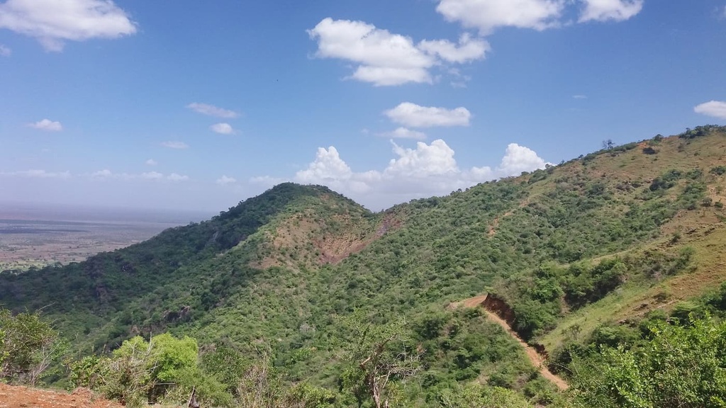 Pare Mountains, Tanzania