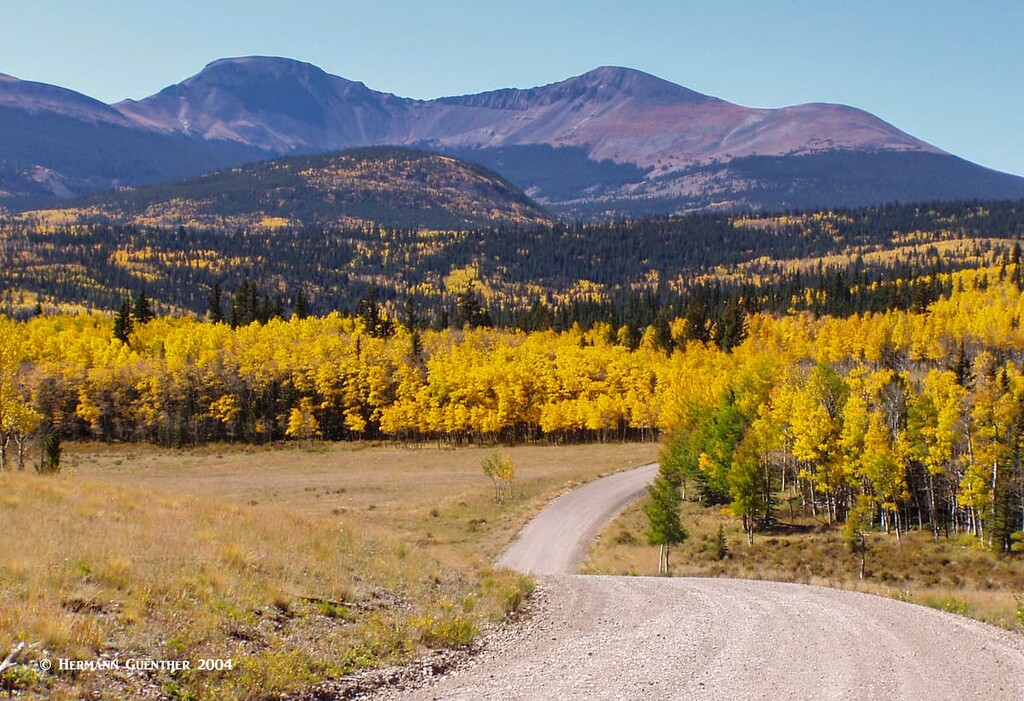 Buffalo Peaks Approach, Park County, Colorado