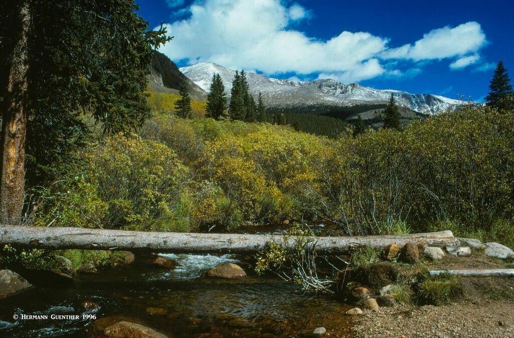 Scott Gomer Creek Trail, Mount Evans , Park County, Colorado