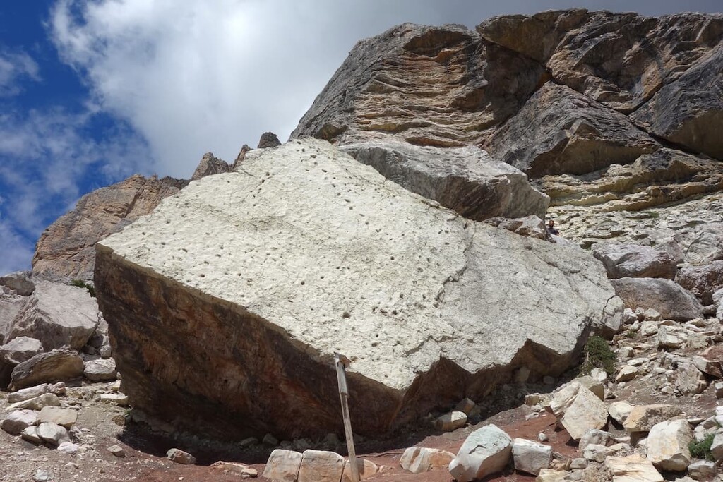 Dinosaurs Footprints, Pelmo, Italy