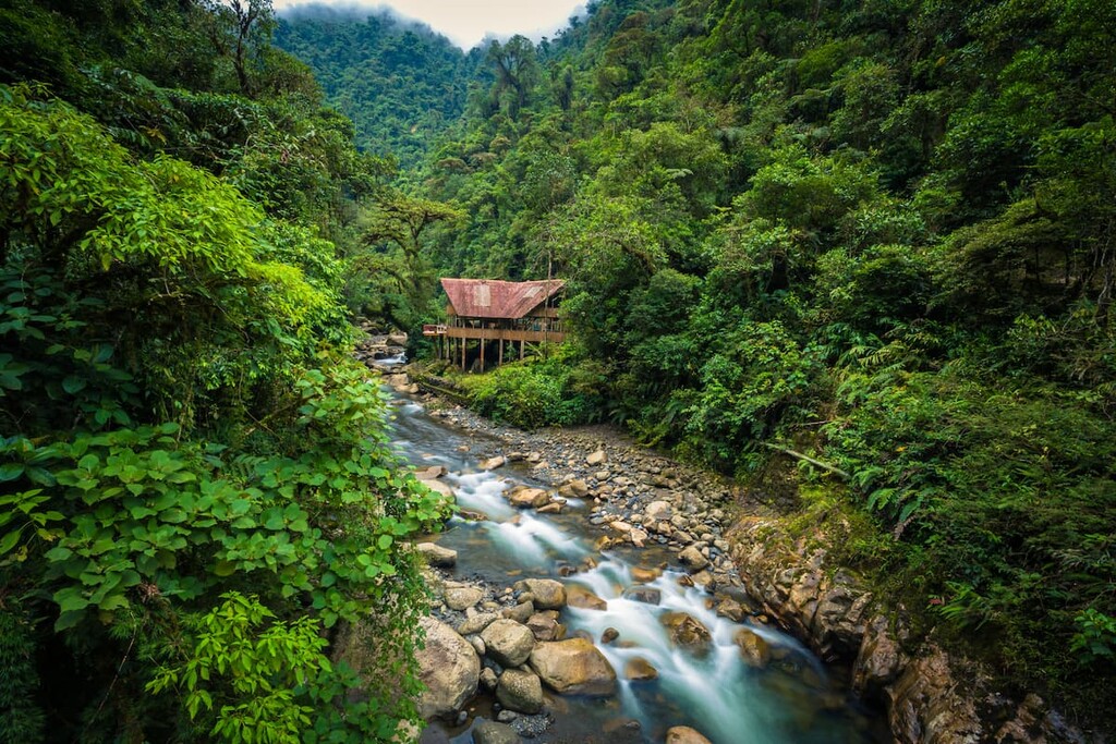 Manú National Park, Peru