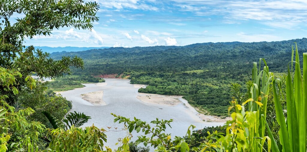 Manú National Park, Peru