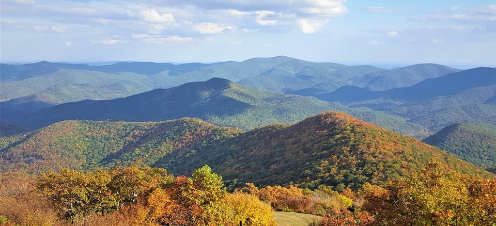 Piedmont, Chattahoochee-Oconee National Forest - Oconee District, Georgia