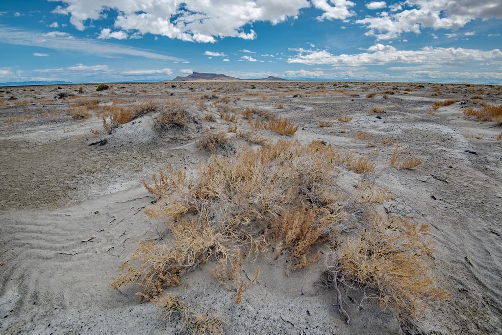 Pilot Range, Utah