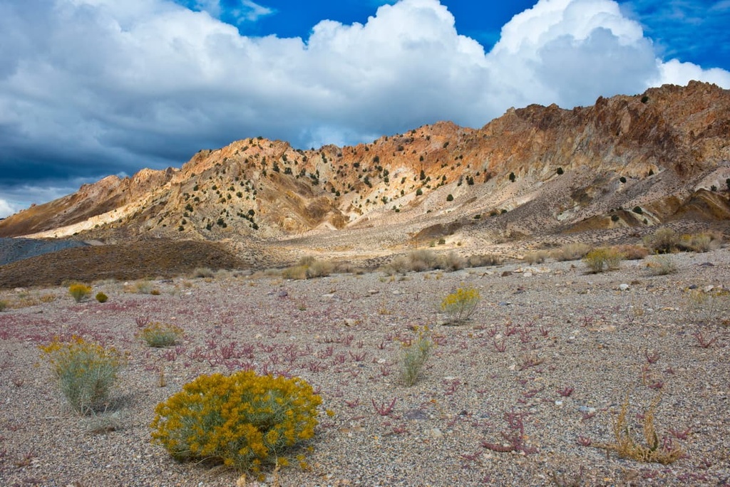 Pilot Range, Utah