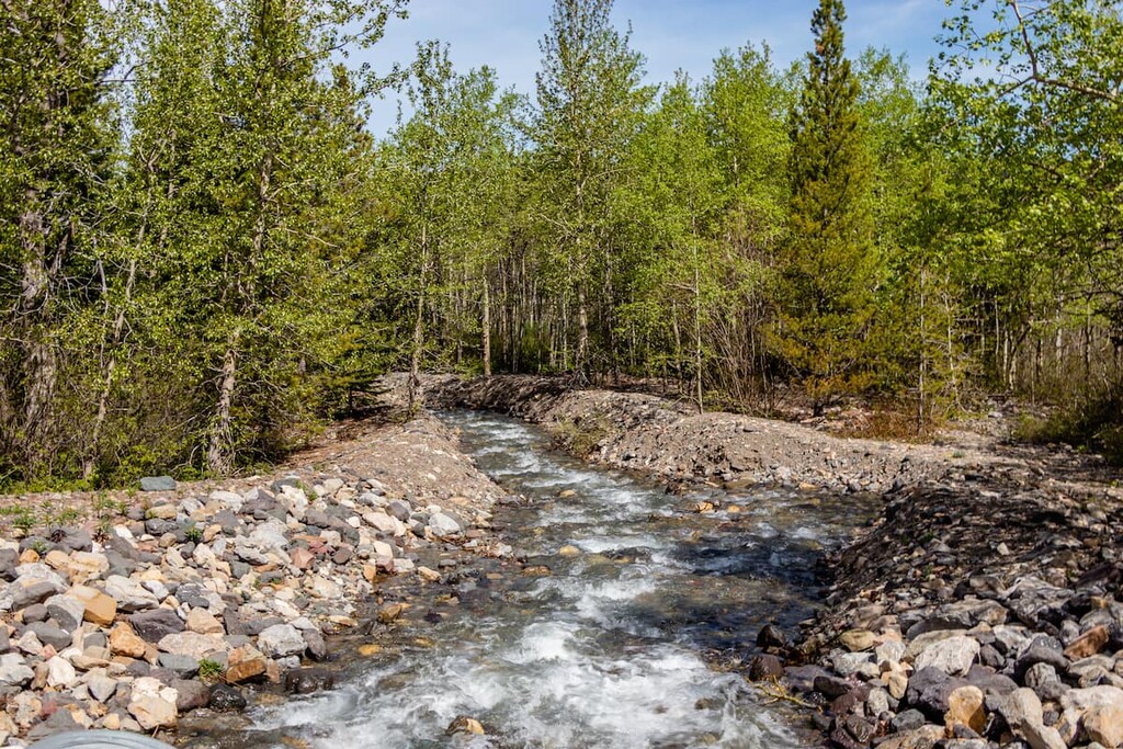 Castle River, Municipal District of Pincher Creek, Alberta