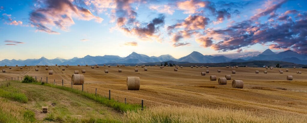Municipal District of Pincher Creek, Alberta