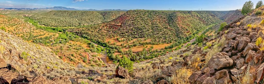 Prescott National Forest, Arizona, USA
