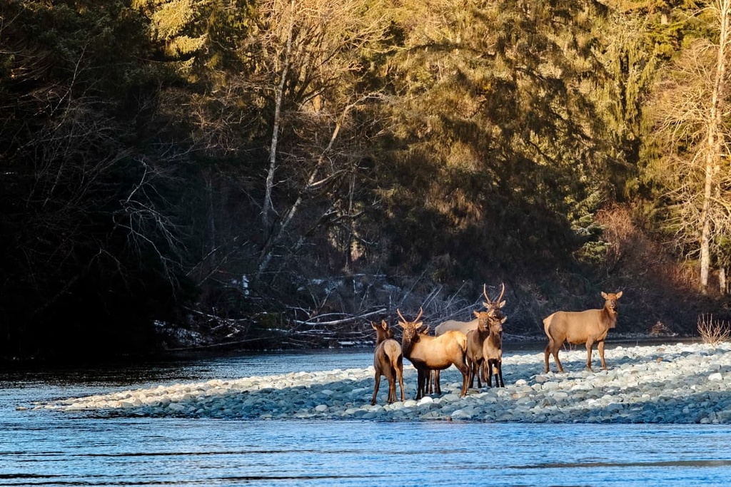 Prince of Wales Range, British Columbia