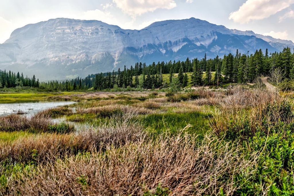 Ram Range, Alberta