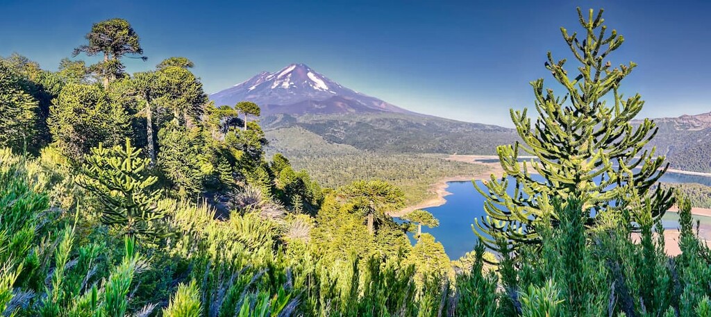 Parque Nacional Conguillío, Chile