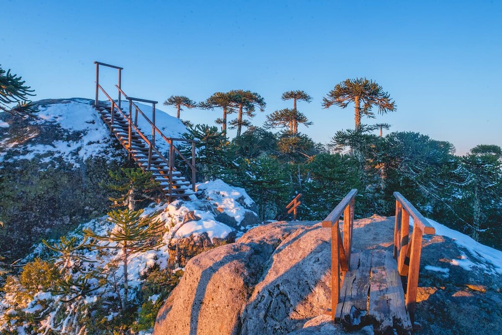 Parque Nacional Nahuelbuta, Chile