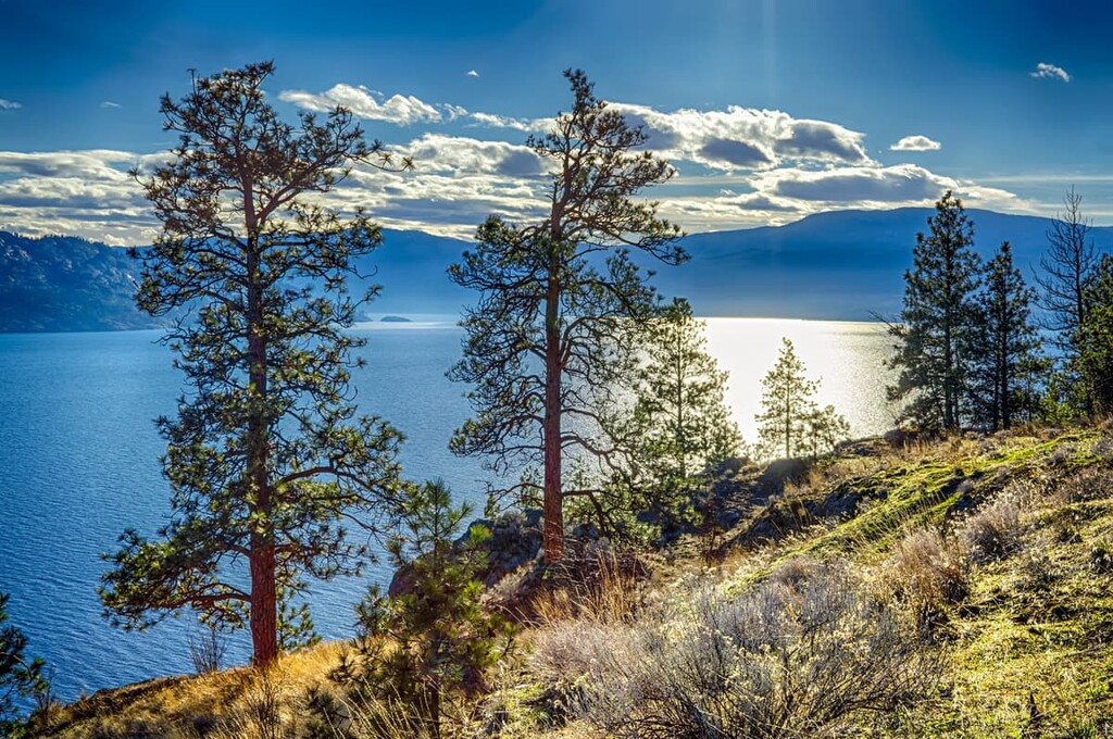 Regional District of Central Okanagan 