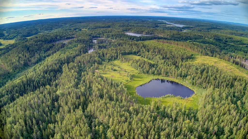 Forest lake, Republic of Karelia, Russia