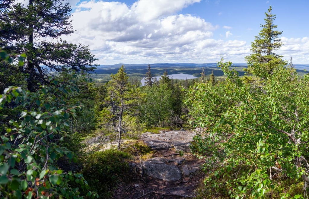 Paanayarvi National Park, Republic of Karelia, Russia