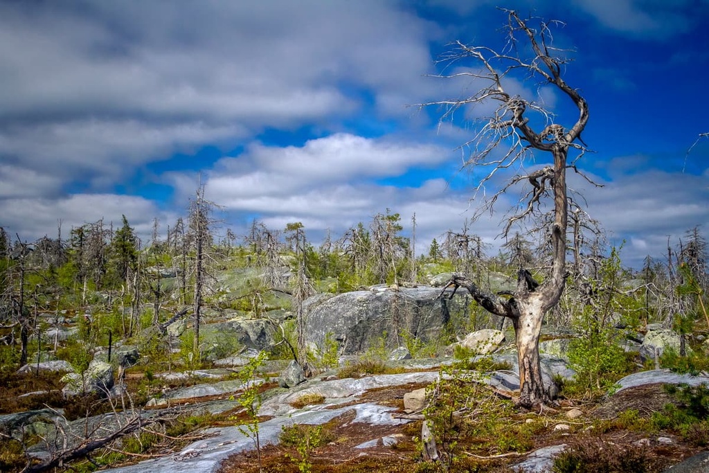 Vottovaara, Republic of Karelia, Russia