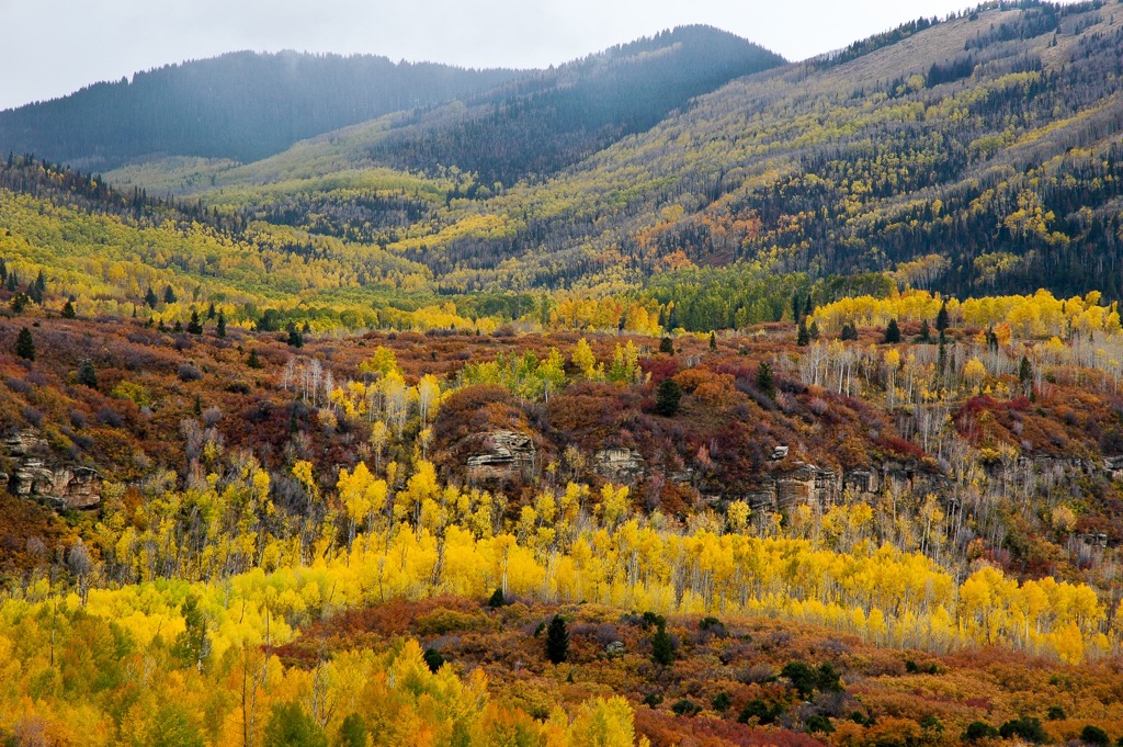 Abajo Mountains, Utah
