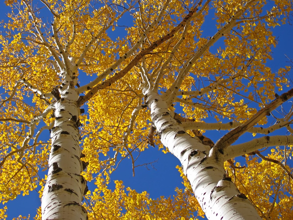 Abajo Mountains, Utah