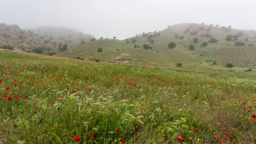 Golestan National Park, Alborz Mountains, Iran