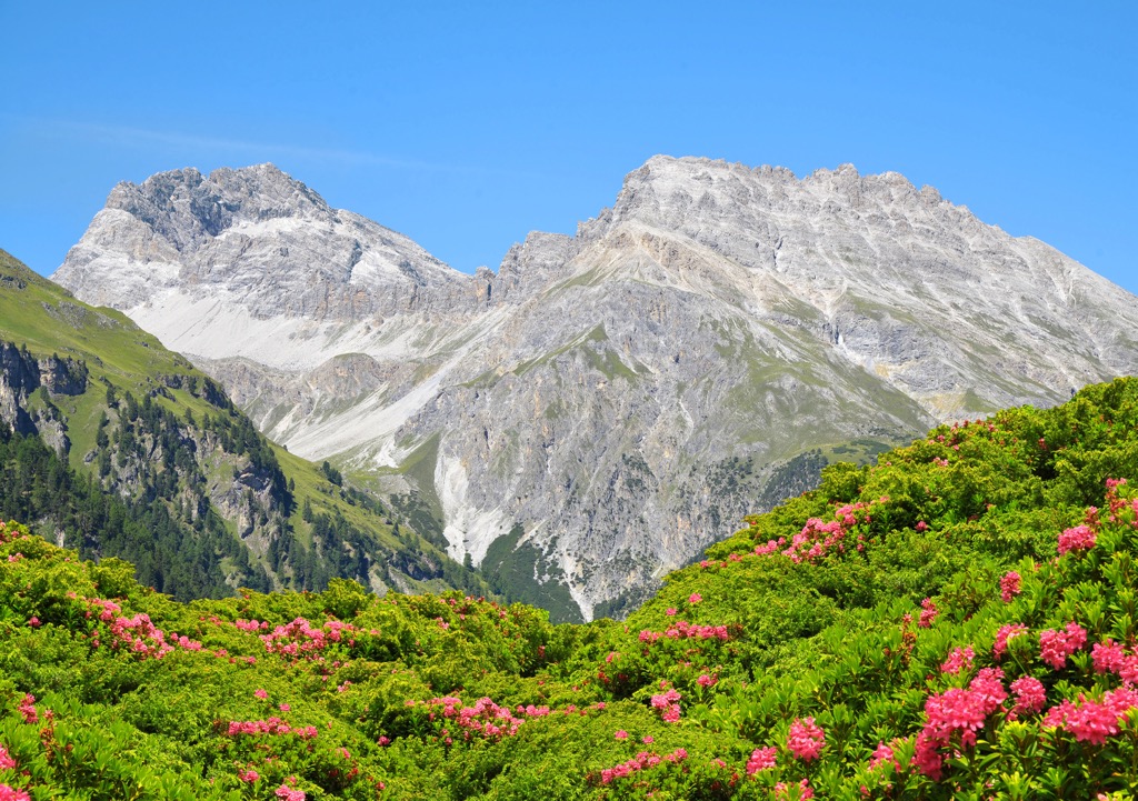 Piz Ela with no snow cover. Albula Alps