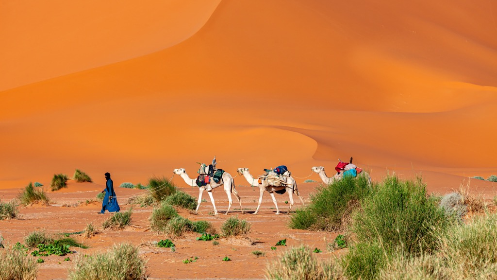 Algeria, Tamanrasset