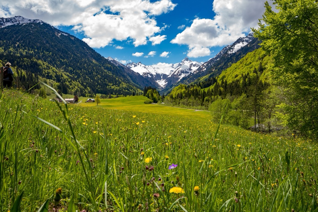 The meadows of Speilmannsau. Allgau Alps