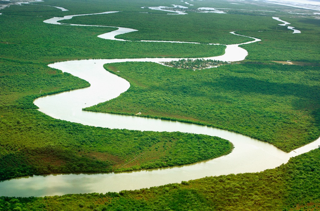 Mangrove forests with the Godavari Rivers winding its way. Andhra Pradesh Mountains