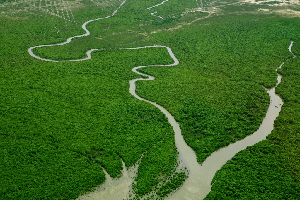 Mangrove forests, where the Godavari River meets the Bay of Bengal. Andhra Pradesh Mountains