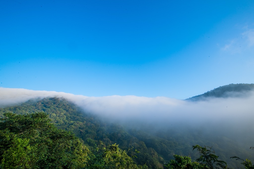 A classic, misty morning in Lambasingi. Andhra Pradesh Mountains