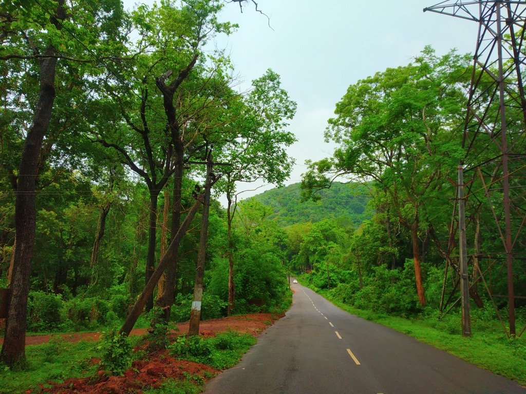 The lush green forests of Papikonda National Park. Andhra Pradesh Mountains