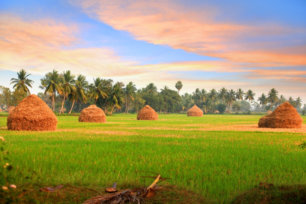 Farms of Andhra Pradesh. Andhra Pradesh Mountains