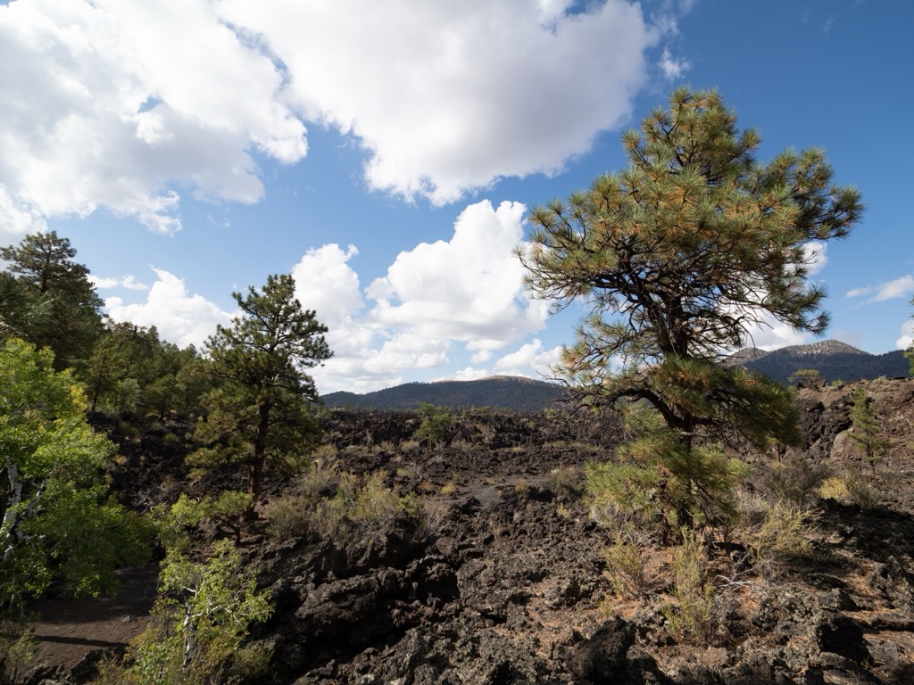 Aquarius Mountains, Arizona