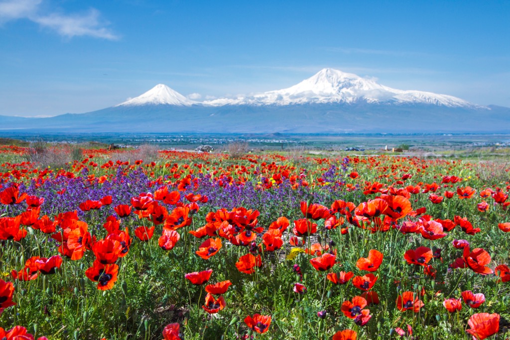 Ararat, Armenia