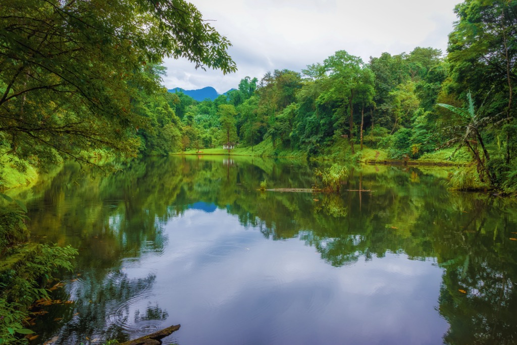 Arunachal Pradesh. Dense tropical forests of the lower Dibang Valley
