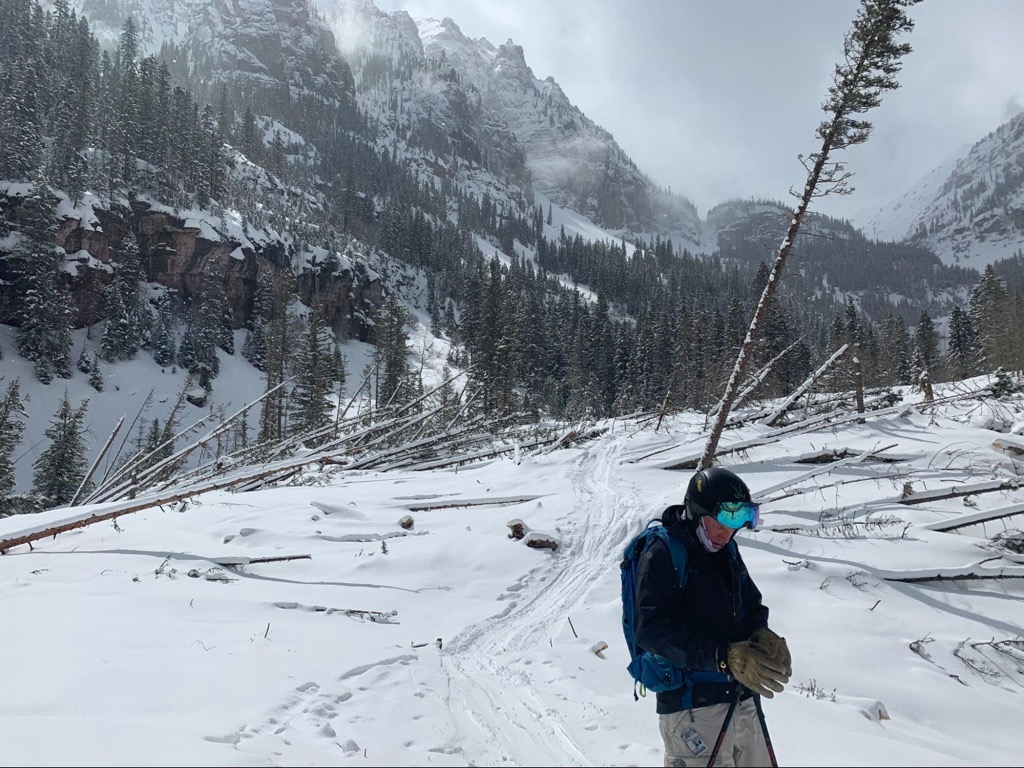 A massive slide during the historic winter of 2018-2019 knocked down hundreds of spruce trees. 	Photo: Sergei Poljak. Avalanche Safety