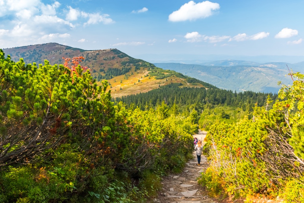 View from Babia Gora, Babi Hora, Beskids mountains, Babia Gora National Park, Poland and Slovakia border
