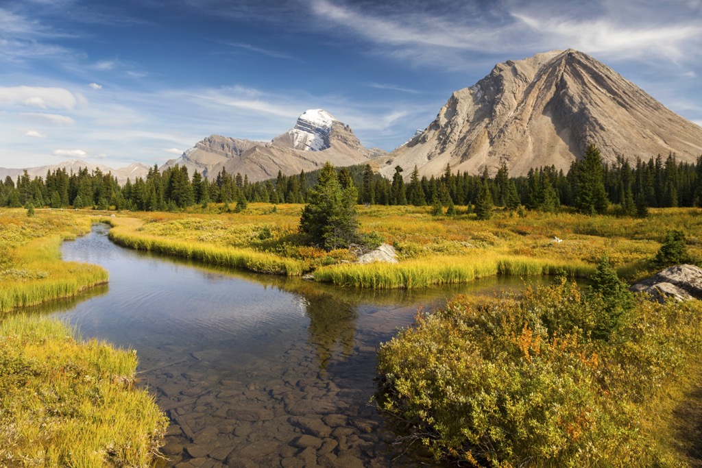 Bare Range, Alberta