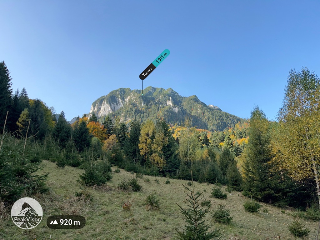 Beech-fir forests in the foothills of the Southern Carpathians