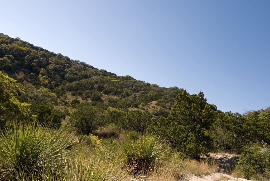 Southeast Texas Hill Country near Banderas, in “Hill Country State Natural Area,” just west of Bexar County. Bexar County