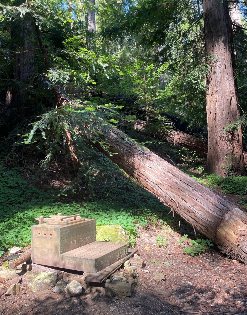 Folks, let me tell you: it’s worth it just for these toilets. Photo: Anna Lochhead. Big Sur Sykes Hot Springs