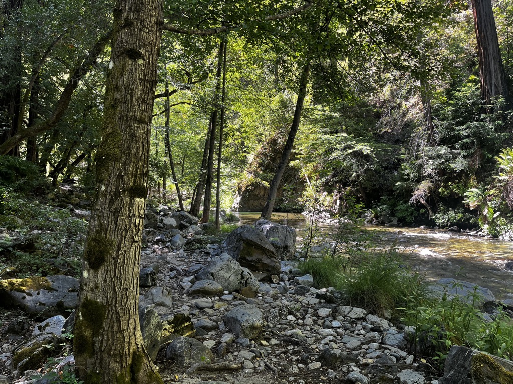 Sykes swimming holes. Photo: Sergei Poljak. Big Sur Sykes Hot Springs