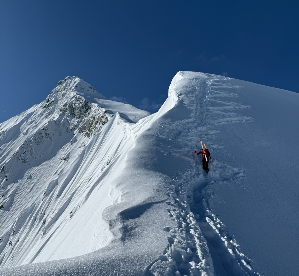 The Neige Cordier, the Écrins’ most classic uptrack. Photo: Ella Lochhead-Sperling. Journal des Ecrins Neige Cordier