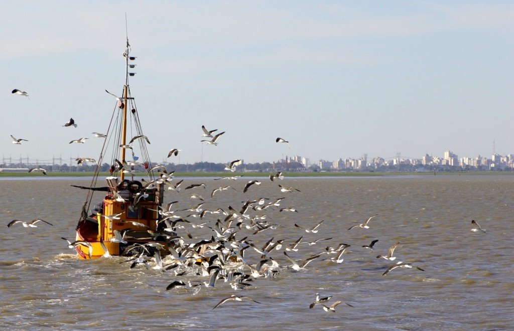 Bahía Blanca, Buenos Aires, Argentina