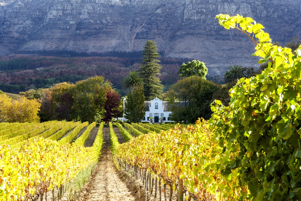 Cape Winelands, South Africa