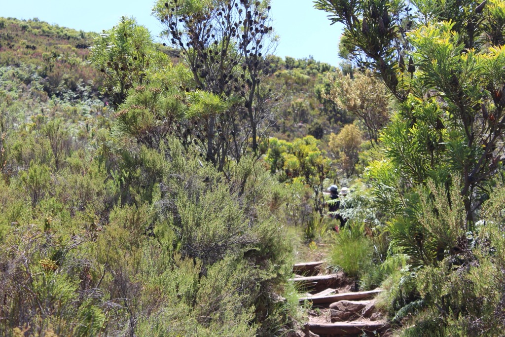 Cape Winelands, South Africa