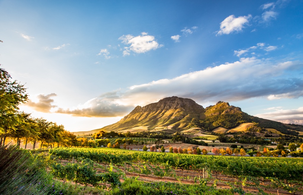 Cape Winelands, South Africa